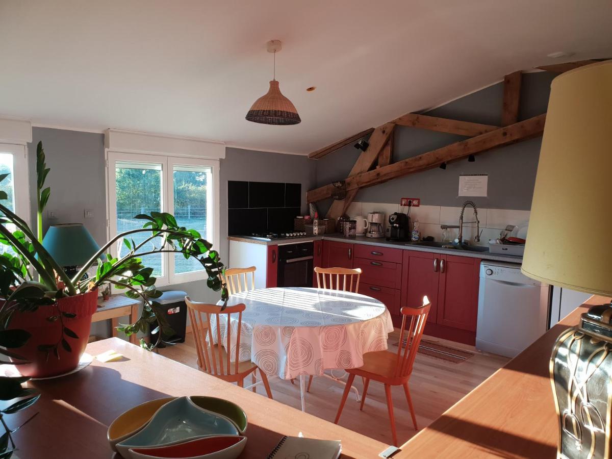 Chambre D'Hote De L'Elevage Du Lattay Les Hauts-d'Anjou Buitenkant foto