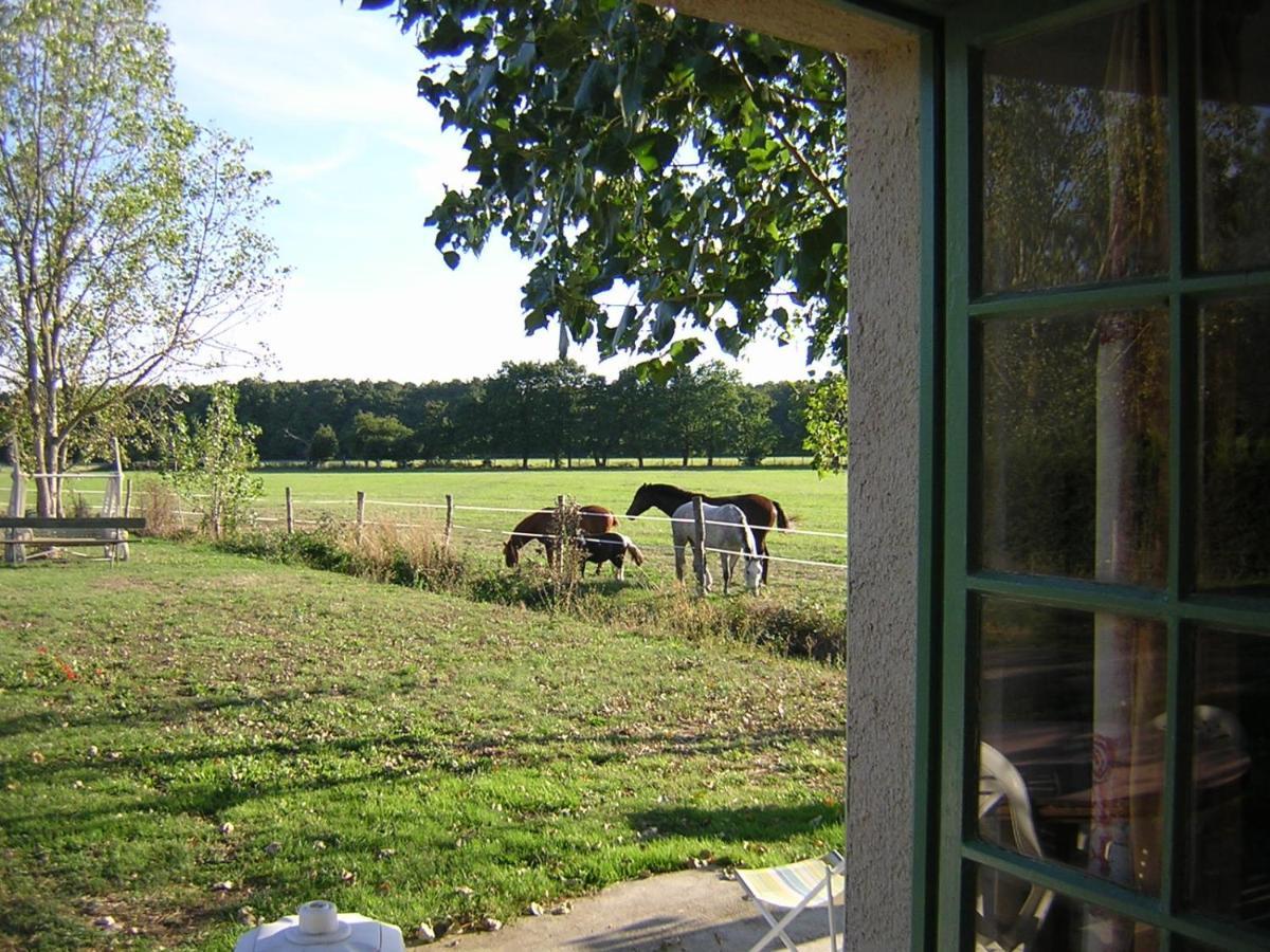 Chambre D'Hote De L'Elevage Du Lattay Les Hauts-d'Anjou Buitenkant foto